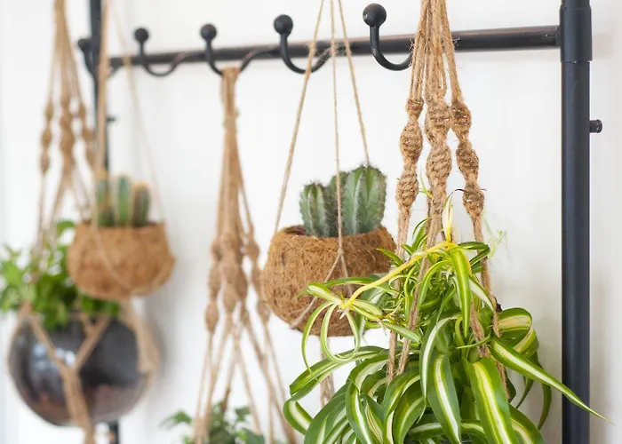 I Отель Амстердам